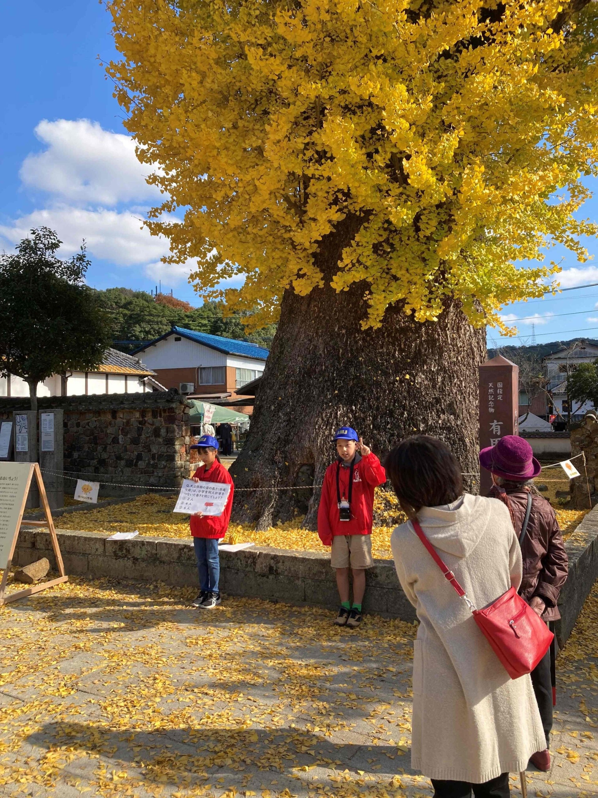 今年も＜有田まちなか案内ジュニア隊＞が始動！～11月に有田の小学生が観光客にガイドします～