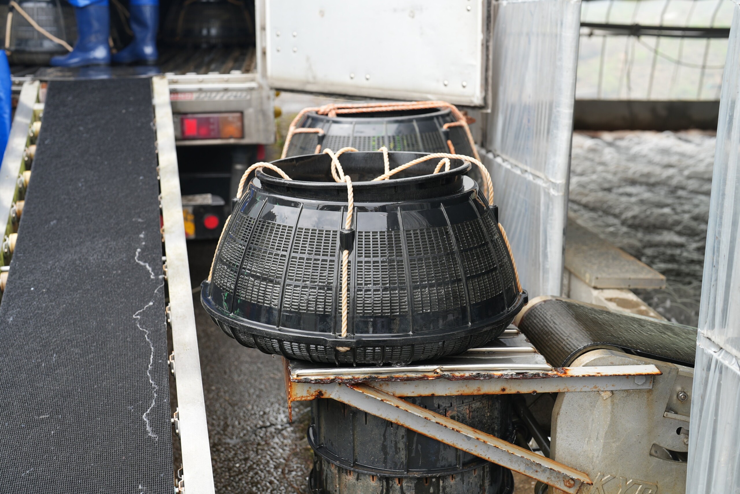 新富町で育った自慢のうなぎを「美味しい」と全国の人に喜んでほしい〜新富町の養鰻事業者3名インタビュー記事〜