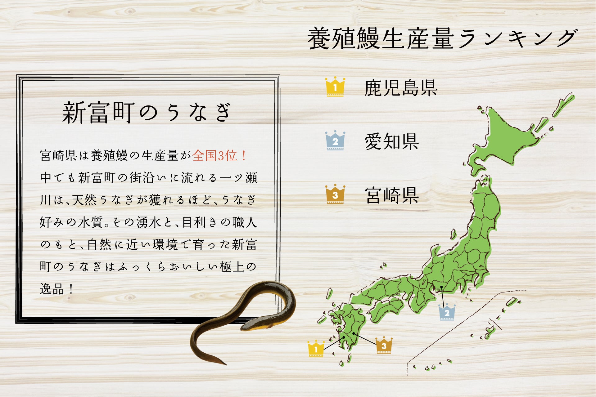 新富町で育った自慢のうなぎを「美味しい」と全国の人に喜んでほしい〜新富町の養鰻事業者3名インタビュー記事〜