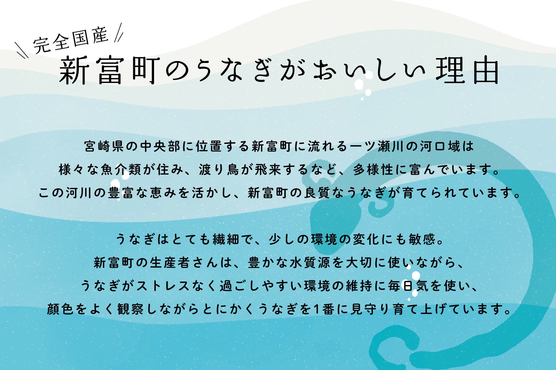 新富町で育った自慢のうなぎを「美味しい」と全国の人に喜んでほしい〜新富町の養鰻事業者3名インタビュー記事〜