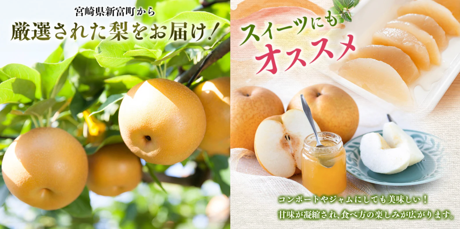 【先行予約】今年の旬を迎える宮崎県新富町産の「梨」をふるさと納税で数量限定受付中