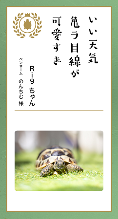 第九回「どうぶつ川柳」入賞作品発表！