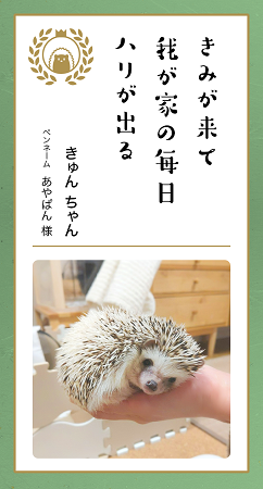 第九回「どうぶつ川柳」入賞作品発表！