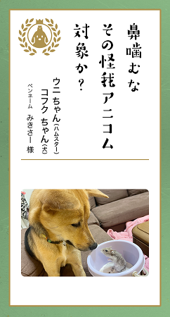 第九回「どうぶつ川柳」入賞作品発表！