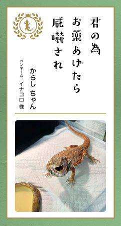 第九回「どうぶつ川柳」入賞作品発表！