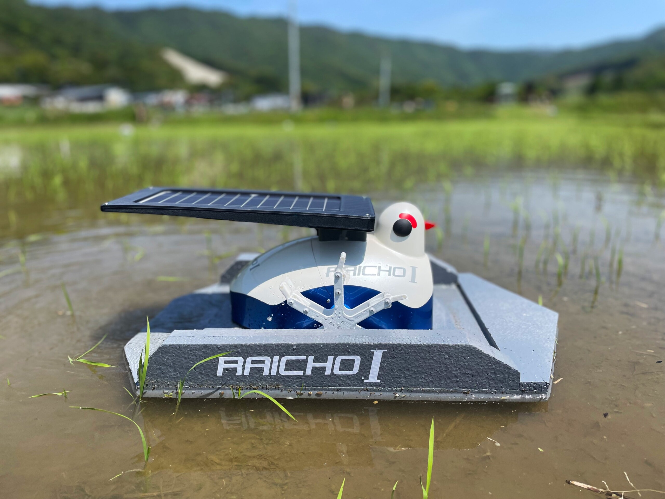 抑草効果を発揮！ 島根県の田んぼに鳥型ロボット「雷鳥1号（雑草抑制モデル）」を投入