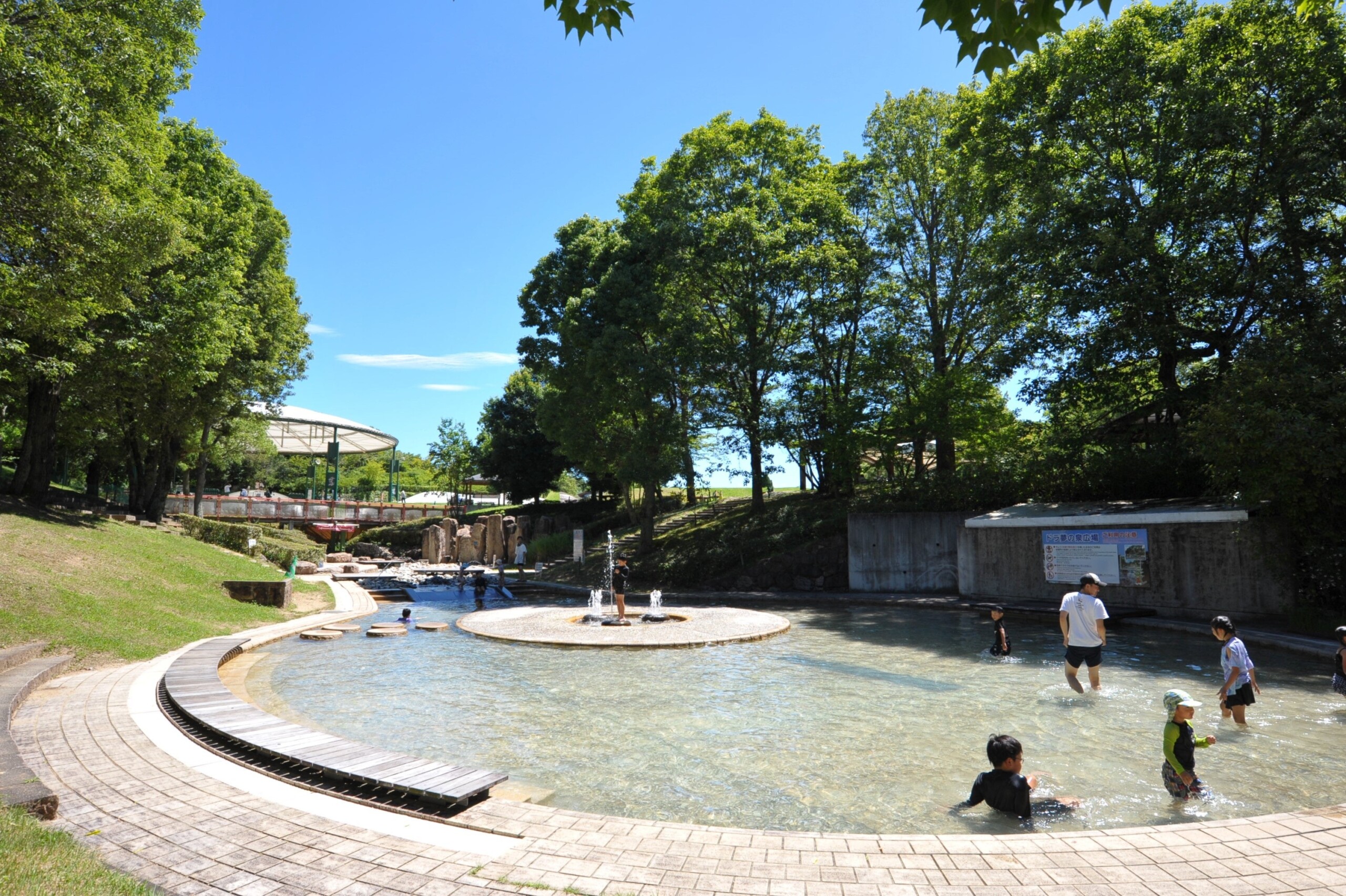 夏休みの思い出をつくろう！ヒマワリ見頃＆「サマーフェスタ」開催中！（国営讃岐まんのう公園）