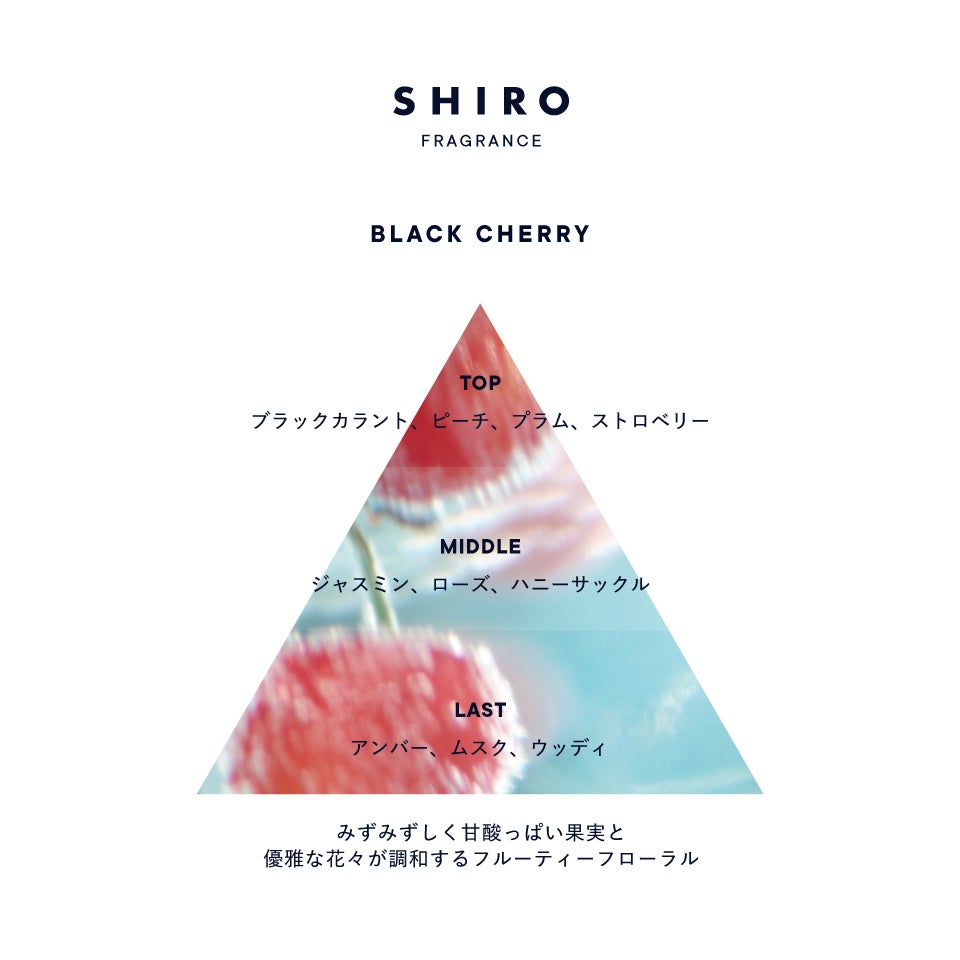 【SHIRO】LIMITED FRAGRANCE ブラックチェリー