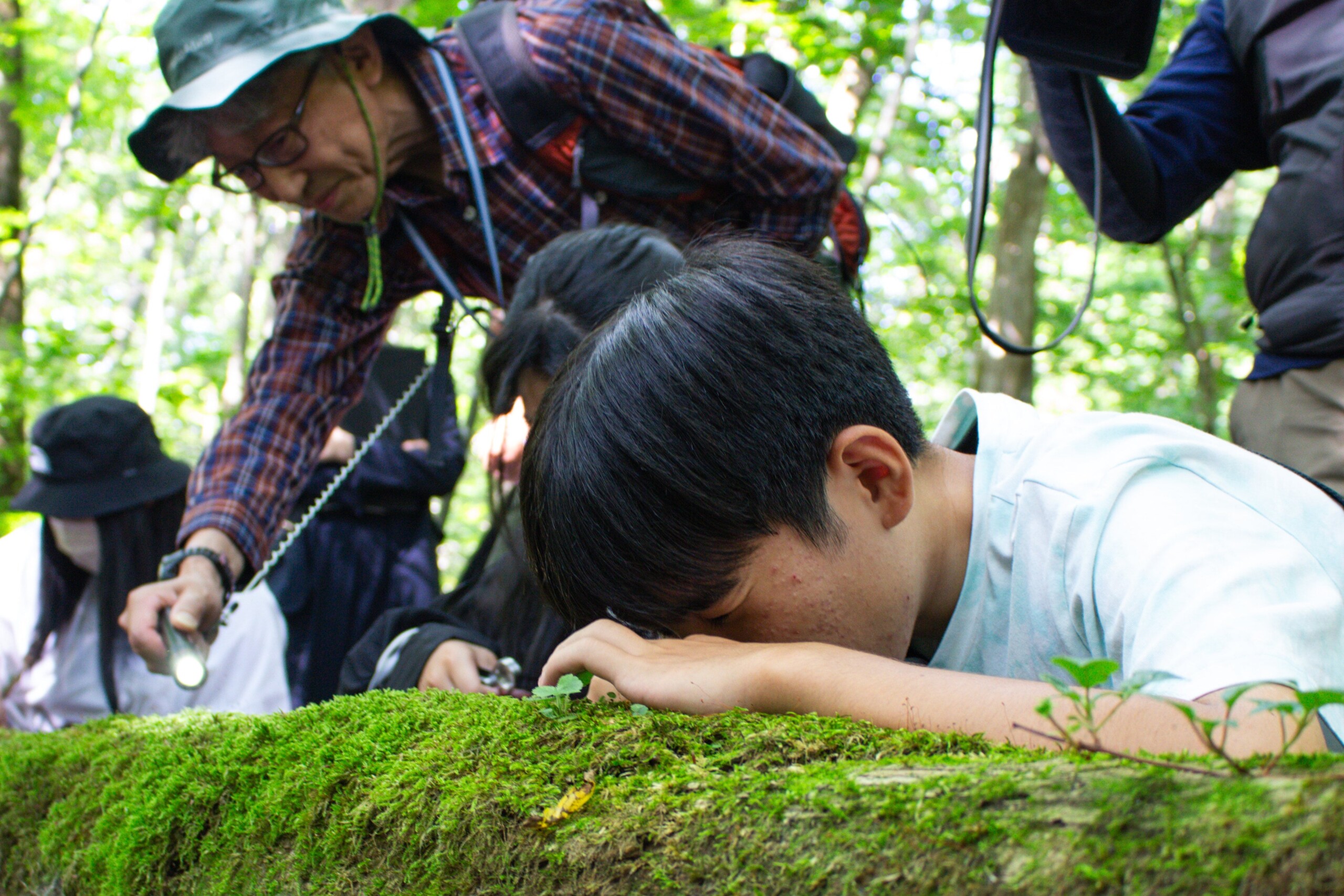 【星野リゾート　奥入瀬渓流ホテル】8月10日「苔の日」に、苔を通して地域の観光を支えてきた事業者の取り組...