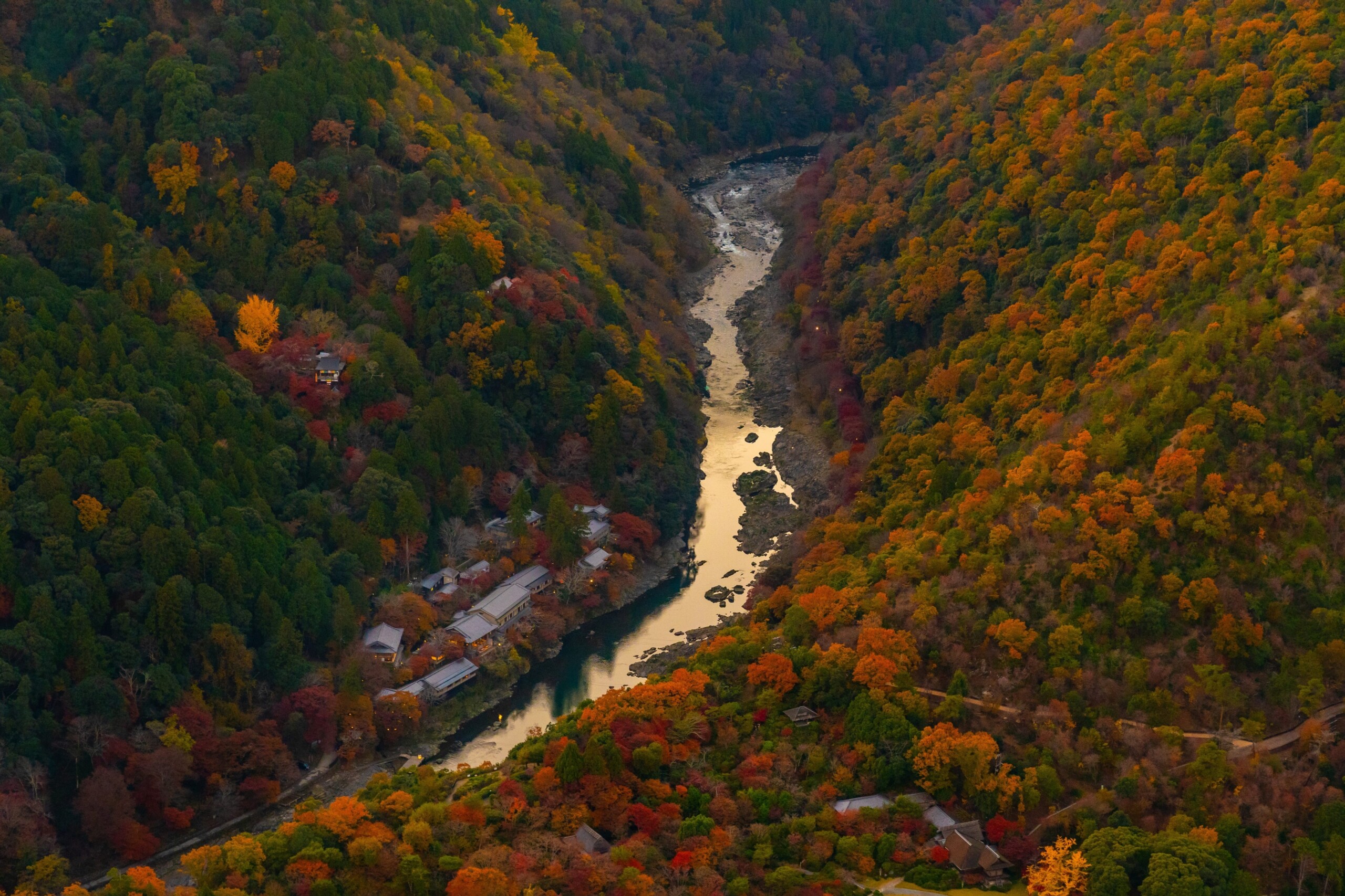 【星のや京都】朝日に輝く紅葉の景色の中、屋形舟でもみじ鍋を味わう「秋麗（しゅうれい）の朝餉（あさげ）舟...