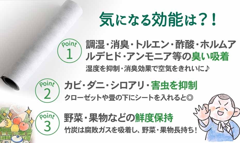 送料無料！国産竹炭消臭シートのメール便配送始めました