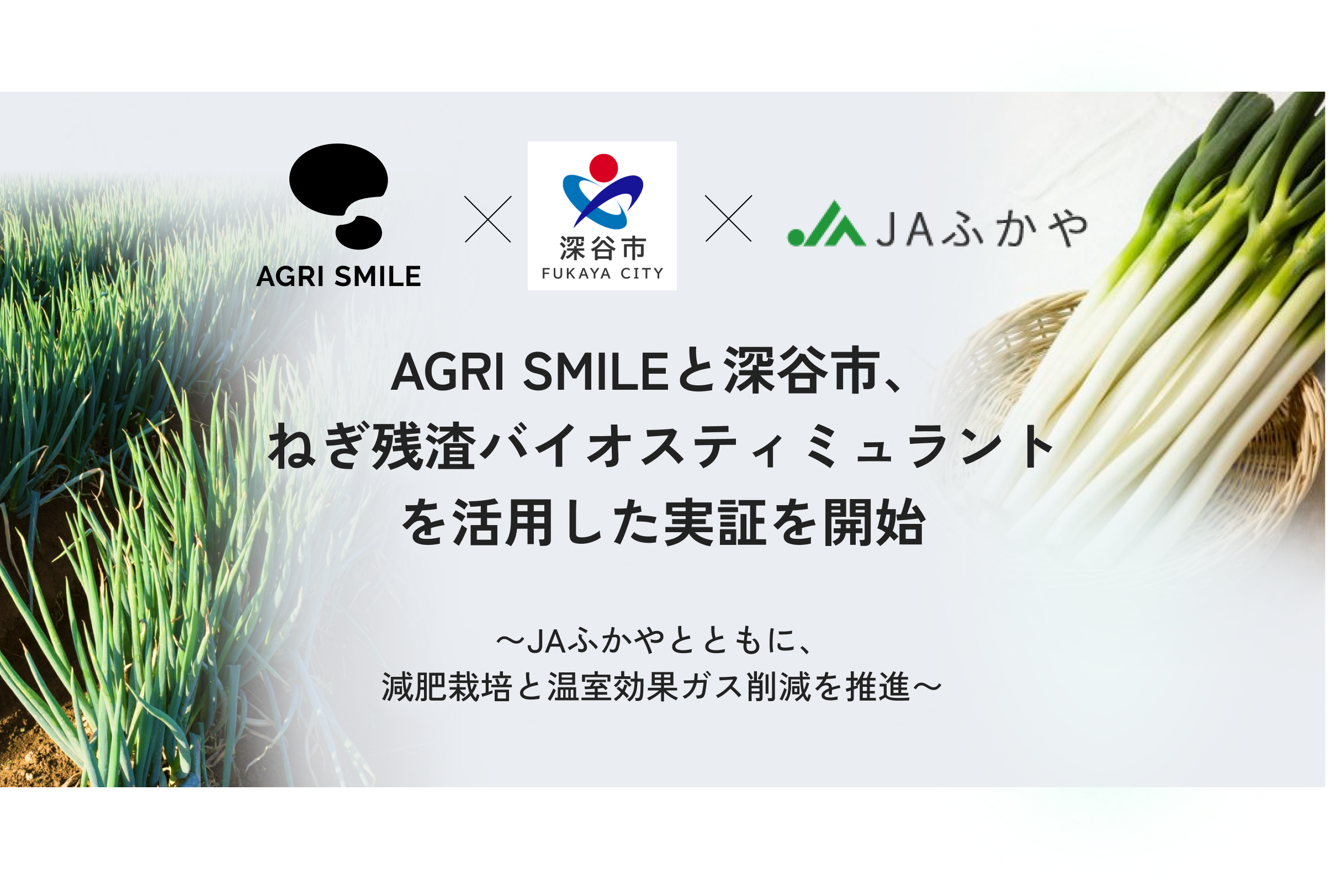 AGRI SMILEと深谷市、ねぎ残渣バイオスティミュラントを活用した実証を開始