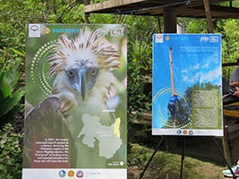 （提供：Philippine Eagle Foundation（フィリピンワシ保護財団））