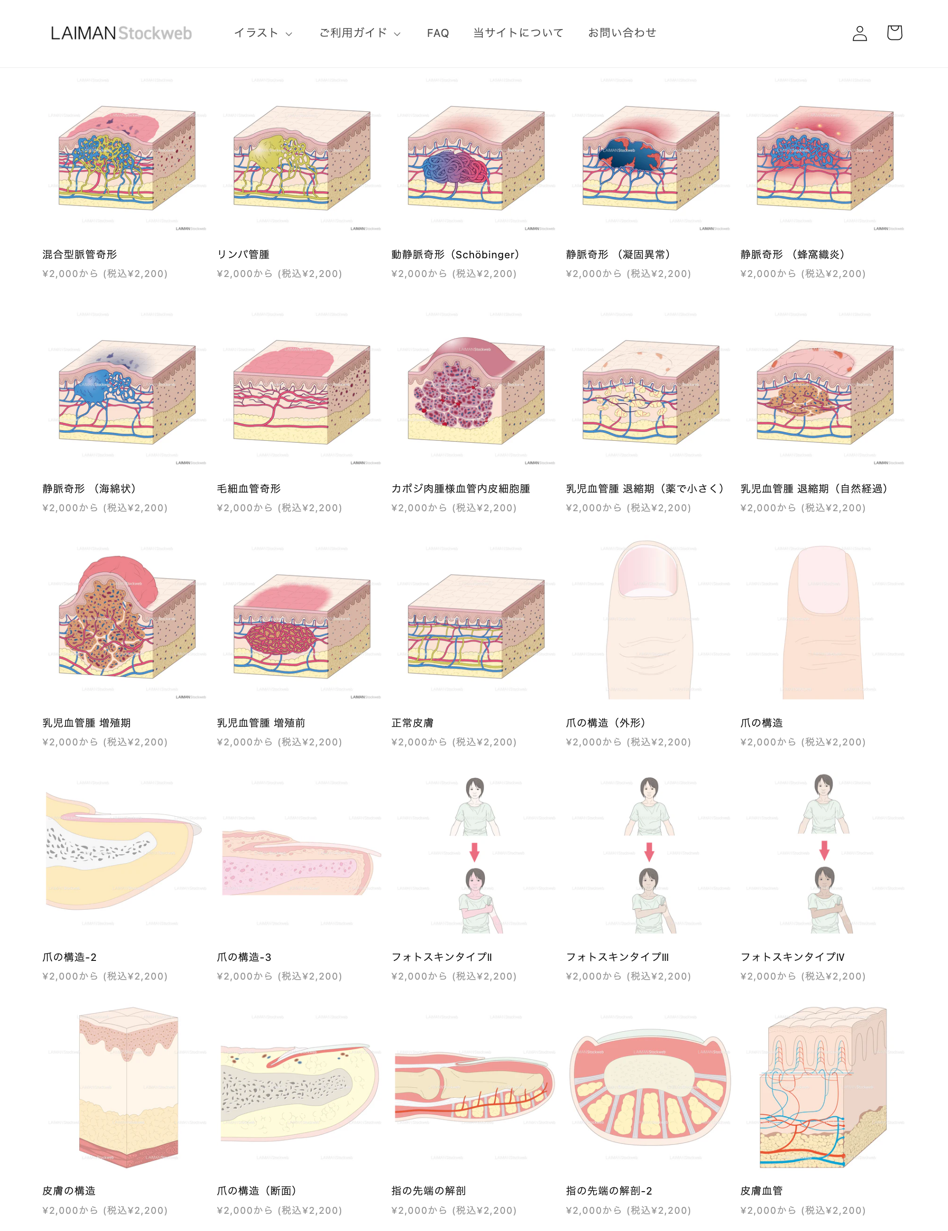 メディカルイラストストックサイト【LAIMAN Stockweb】がリニューアルオープン。高品質なメディカルイラスト...