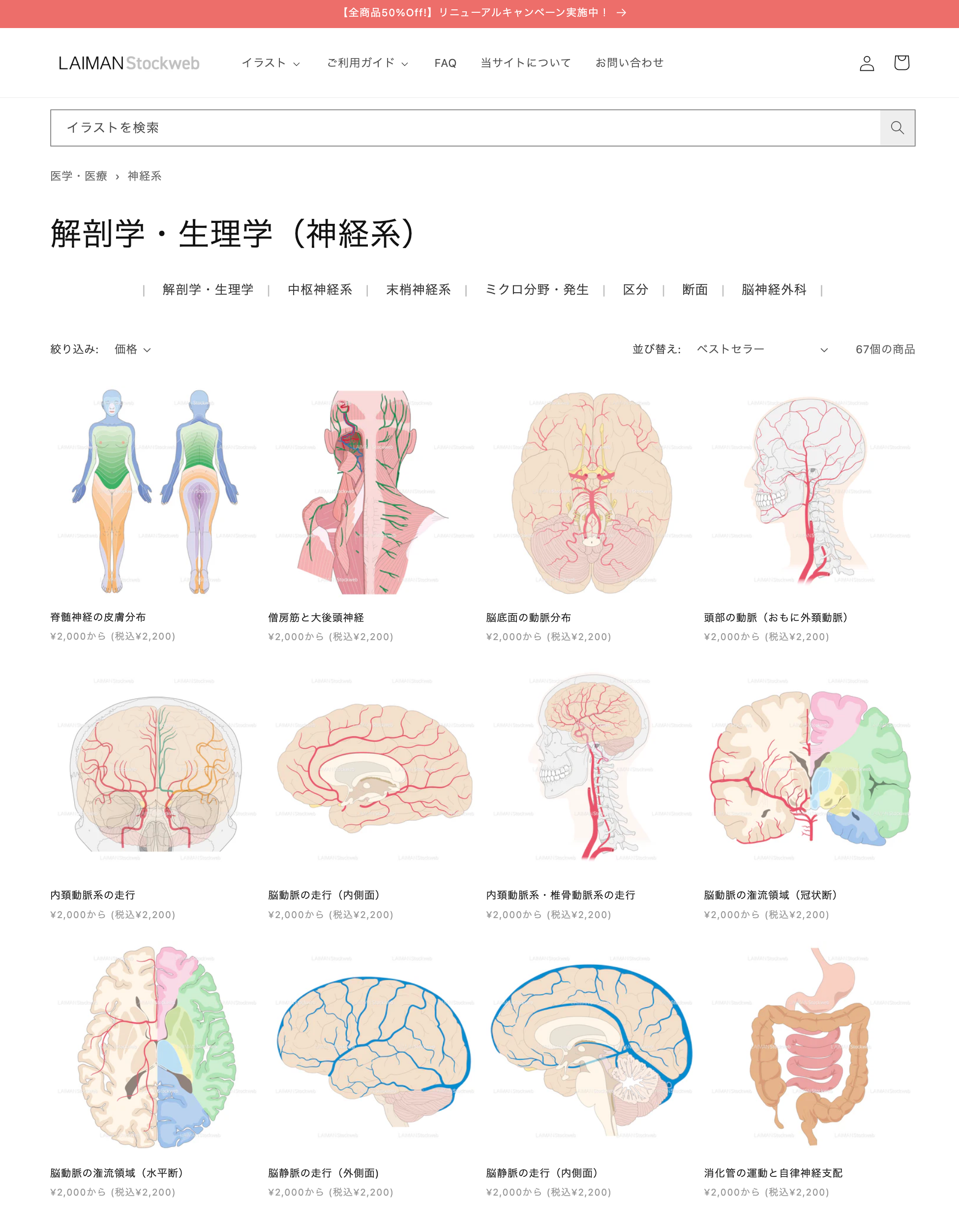 メディカルイラストストックサイト【LAIMAN Stockweb】がリニューアルオープン。高品質なメディカルイラスト...