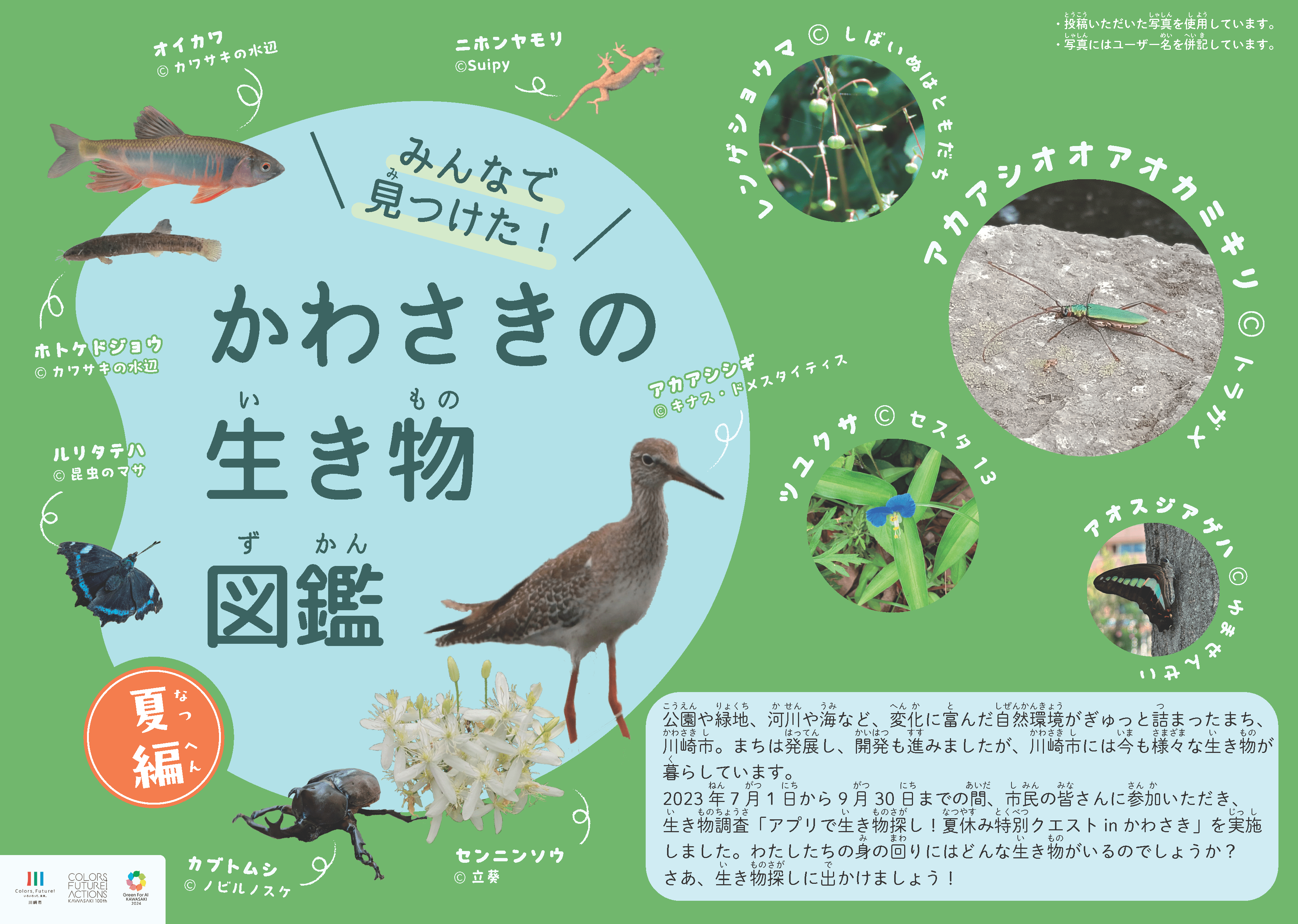 【川崎市×バイオーム】 市制100周年記念事業 「アプリで生き物探し！特別クエスト in かわさき～全国都市緑化...