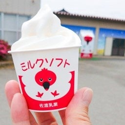 佐渡汽船ターミナル「のりば食堂しおさい」×佐渡乳業コラボ！ー「佐渡ミルクソフトクリーム」販売開始