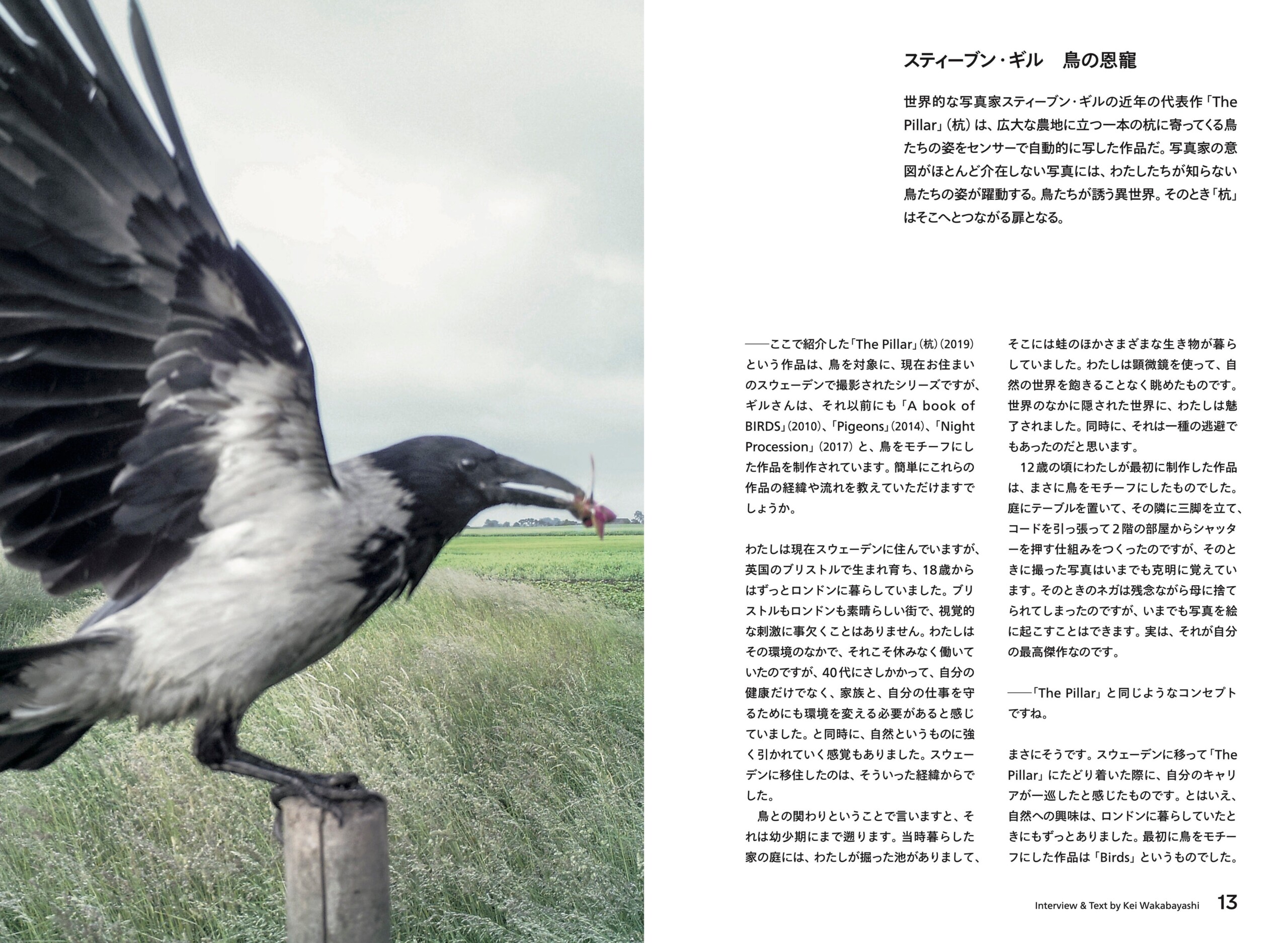 書籍『 WORKSIGHT［ワークサイト］ 24号 鳥類学 Ornithology』を 8月 6日 に 発売