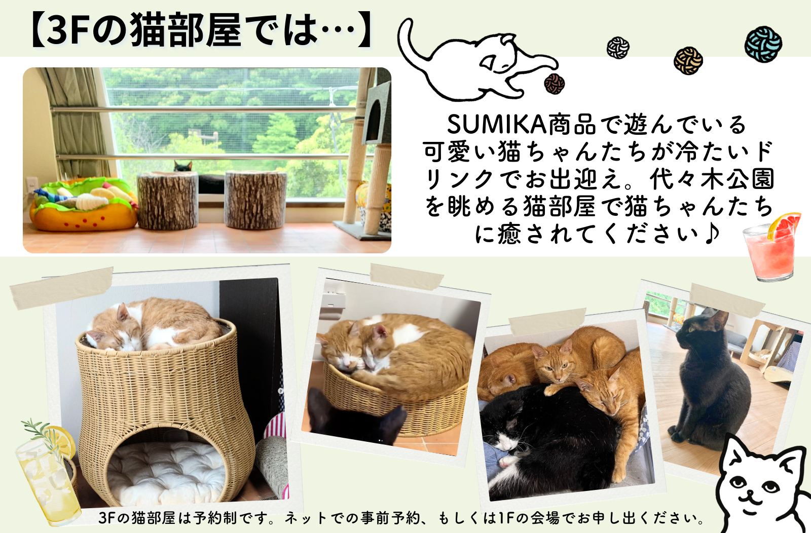 【夏の終わりを猫イベントで!】保護猫カフェと猫グッズブランドとのコラボイベント『にゃんダフル プティFest...