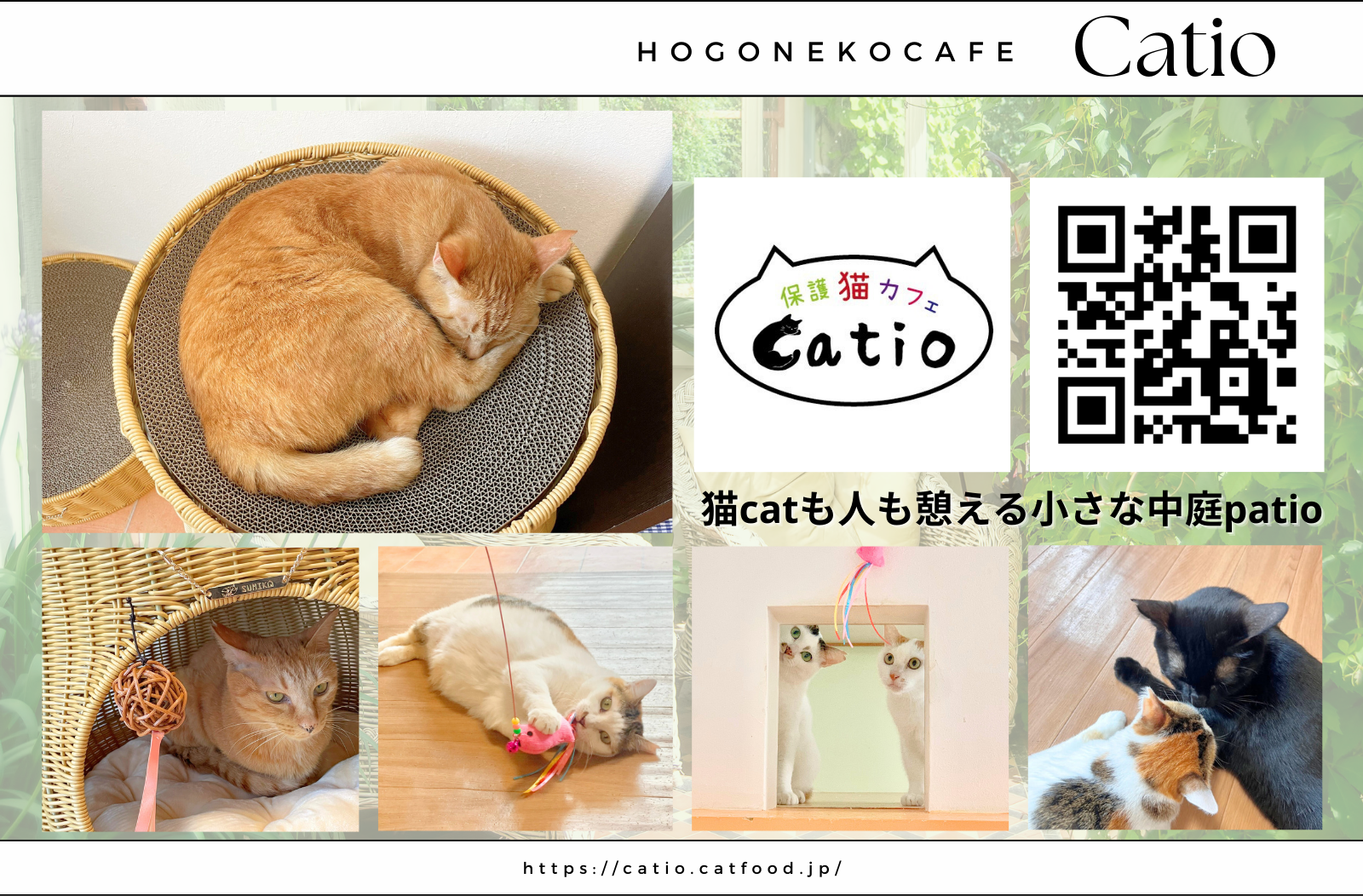 【夏の終わりを猫イベントで!】保護猫カフェと猫グッズブランドとのコラボイベント『にゃんダフル プティFest...