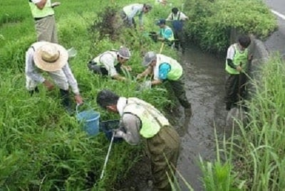 京都府亀岡市、絶滅危惧種アユモドキをまもるクラウドファンディングを開始！