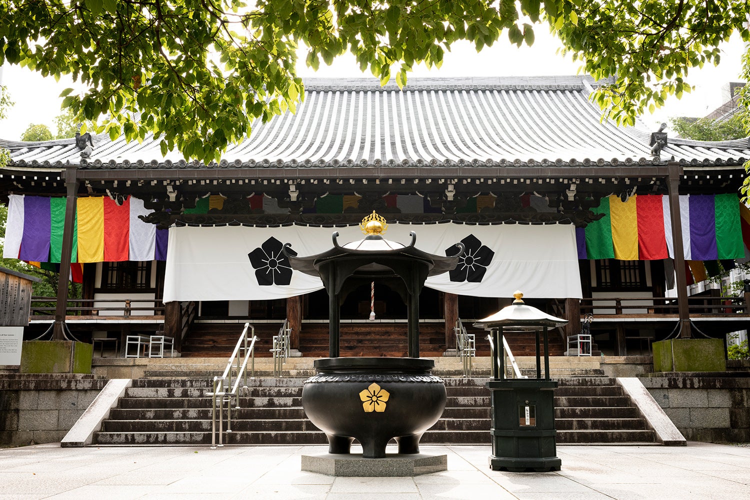 知る人ぞ知る・静かなる京都の名刹「総本山 智積院」／夏季限定の「利休好みの庭」と伝わる名勝庭園と精進料...