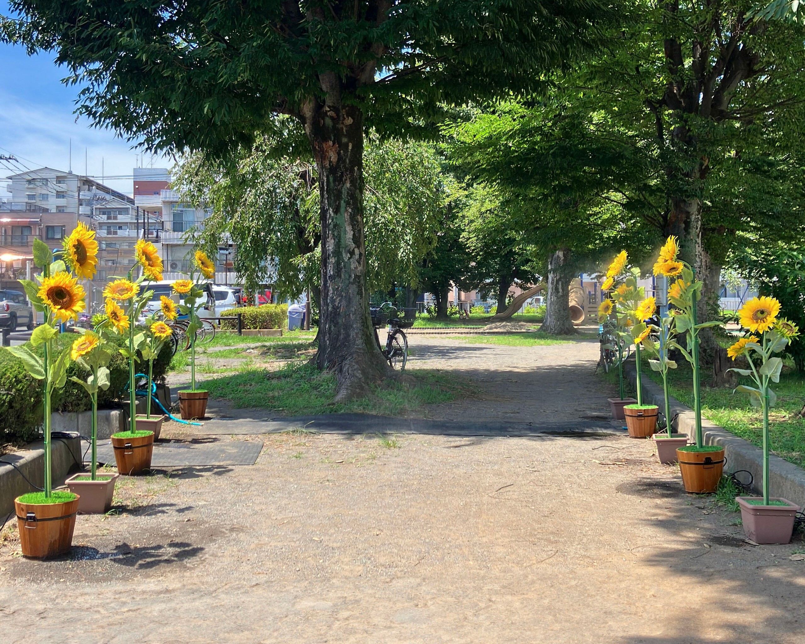 「ひまわりミスト」レンタル開始！夏のイベントに涼しさと彩りを