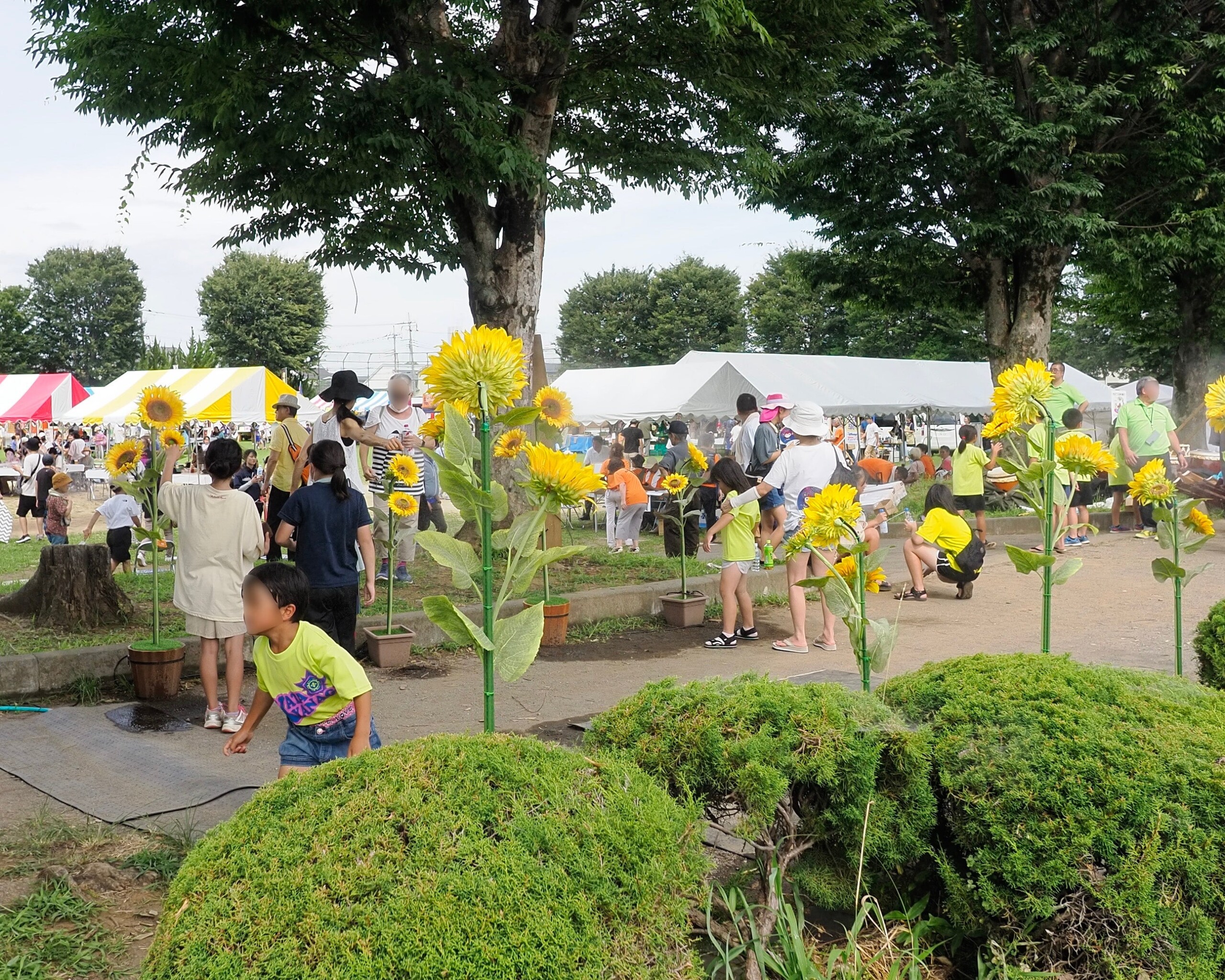 「ひまわりミスト」レンタル開始！夏のイベントに涼しさと彩りを