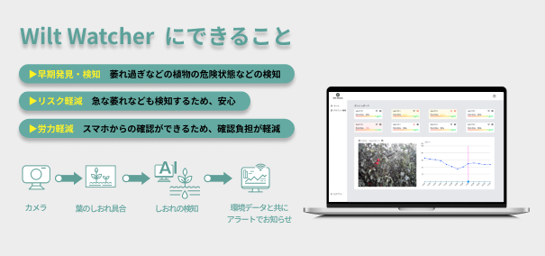 【新製品情報】世界初の植物の萎れの世界初の植物の萎れの早期発見や検知に役立つ栽培管理ツール「Wilt Watch...
