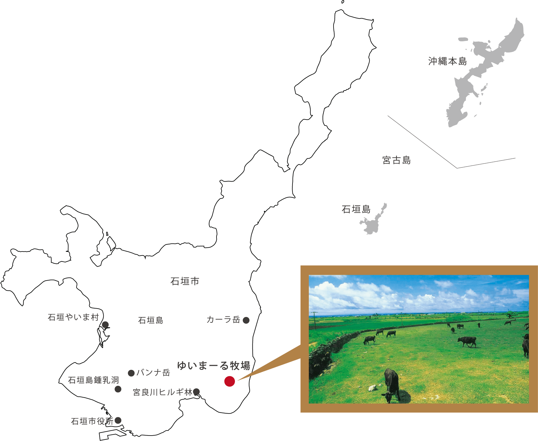 沖縄・石垣島生まれ　全国のブランド牛のルーツ、石垣牛を8月10日（土）より紀ノ国屋一部店舗で販売開始。