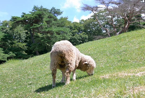 各レストラン夏休み期間増席致しました！！今からでも楽しめる夏休み！神戸を遊びまくる！！神戸の33ケ所の入...