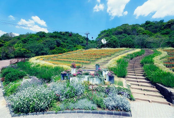 各レストラン夏休み期間増席致しました！！今からでも楽しめる夏休み！神戸を遊びまくる！！神戸の33ケ所の入...