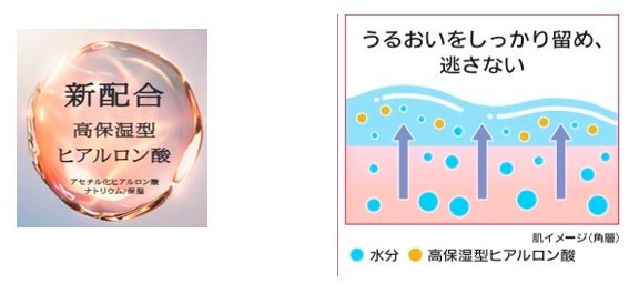 乾いてしかたのない肌に 1品でもっちりハリ感　プリオールから新「薬用　うるおい美リフトゲル」誕生　～2024...