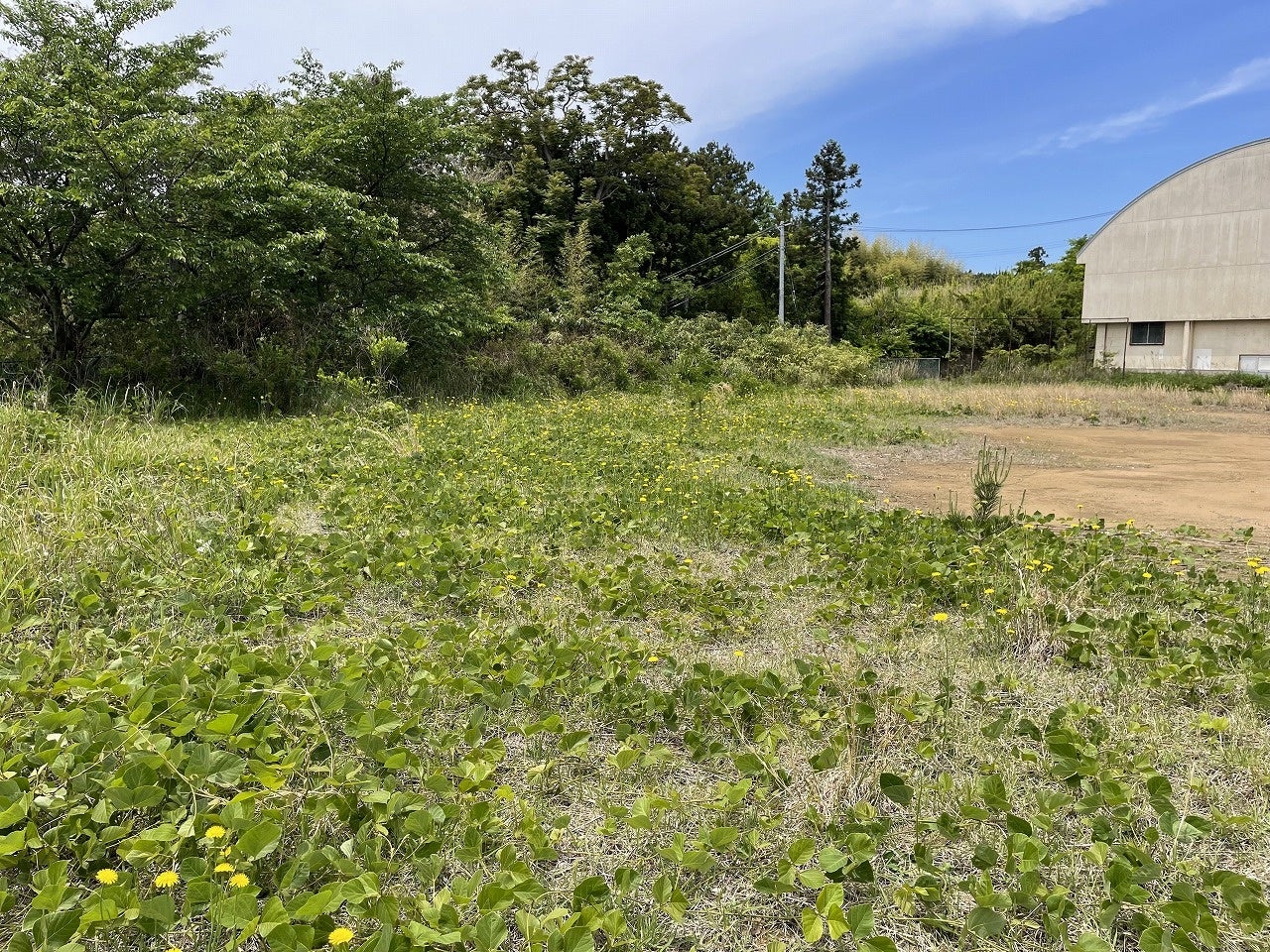 佐渡島の廃校跡地にトレーラーハウスを活用した宿泊施設「佐渡風流～nagomi～」を8月8日にオープン！トレーラ...