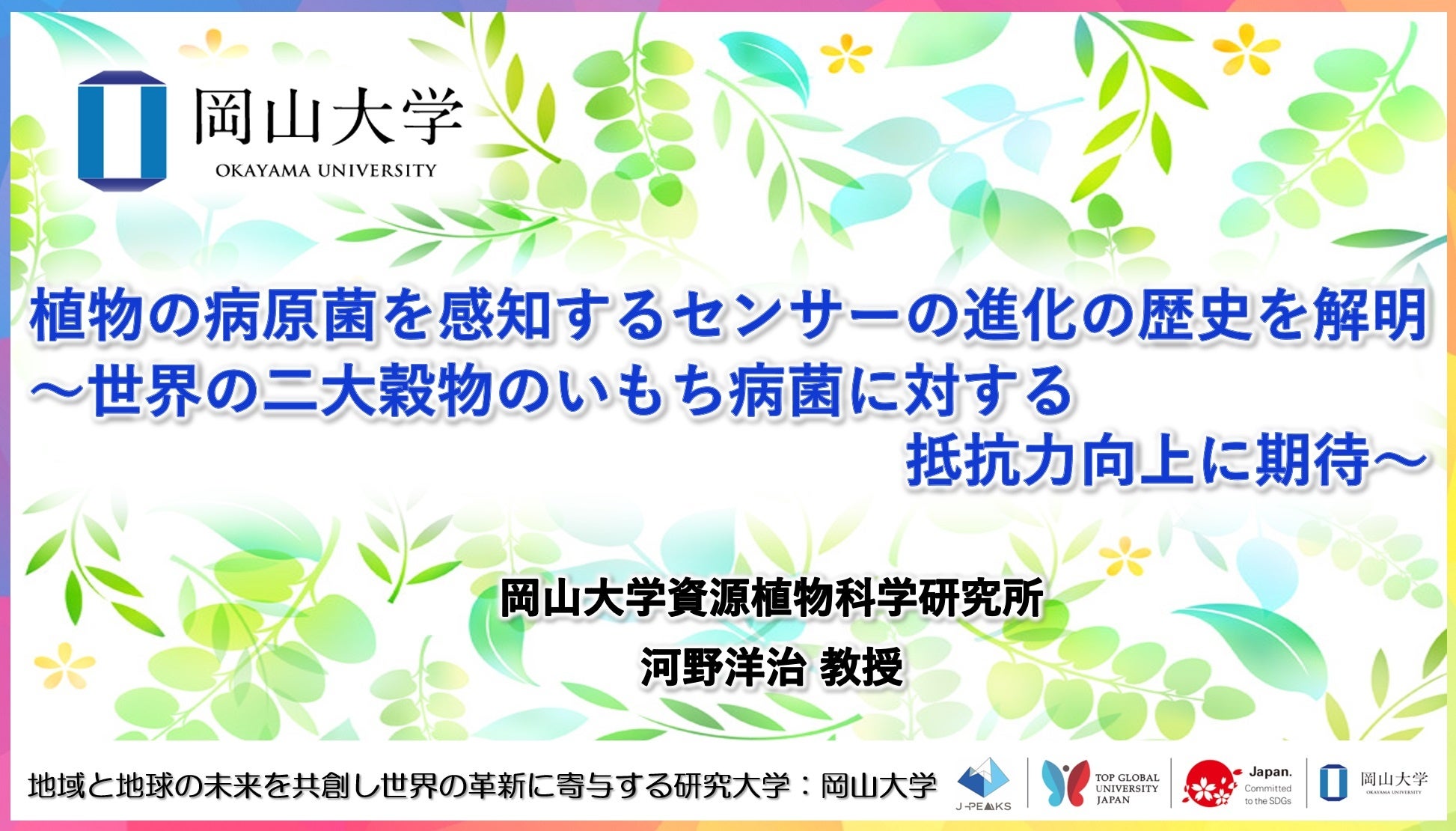 【岡山大学】植物の病原菌を感知するセンサーの進化の歴史を解明～世界の二大穀物のいもち病菌に対する抵抗力...