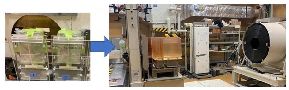 量⼦科学技術研究開発機構に持参した3Dモデルを炭素線照射室に設置した様⼦