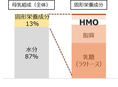 ヒトミルクオリゴ糖 2FLが欧州連合にて新規食品として承認～自社製造販売3品目が承認、HMOの展開をさらに加速～