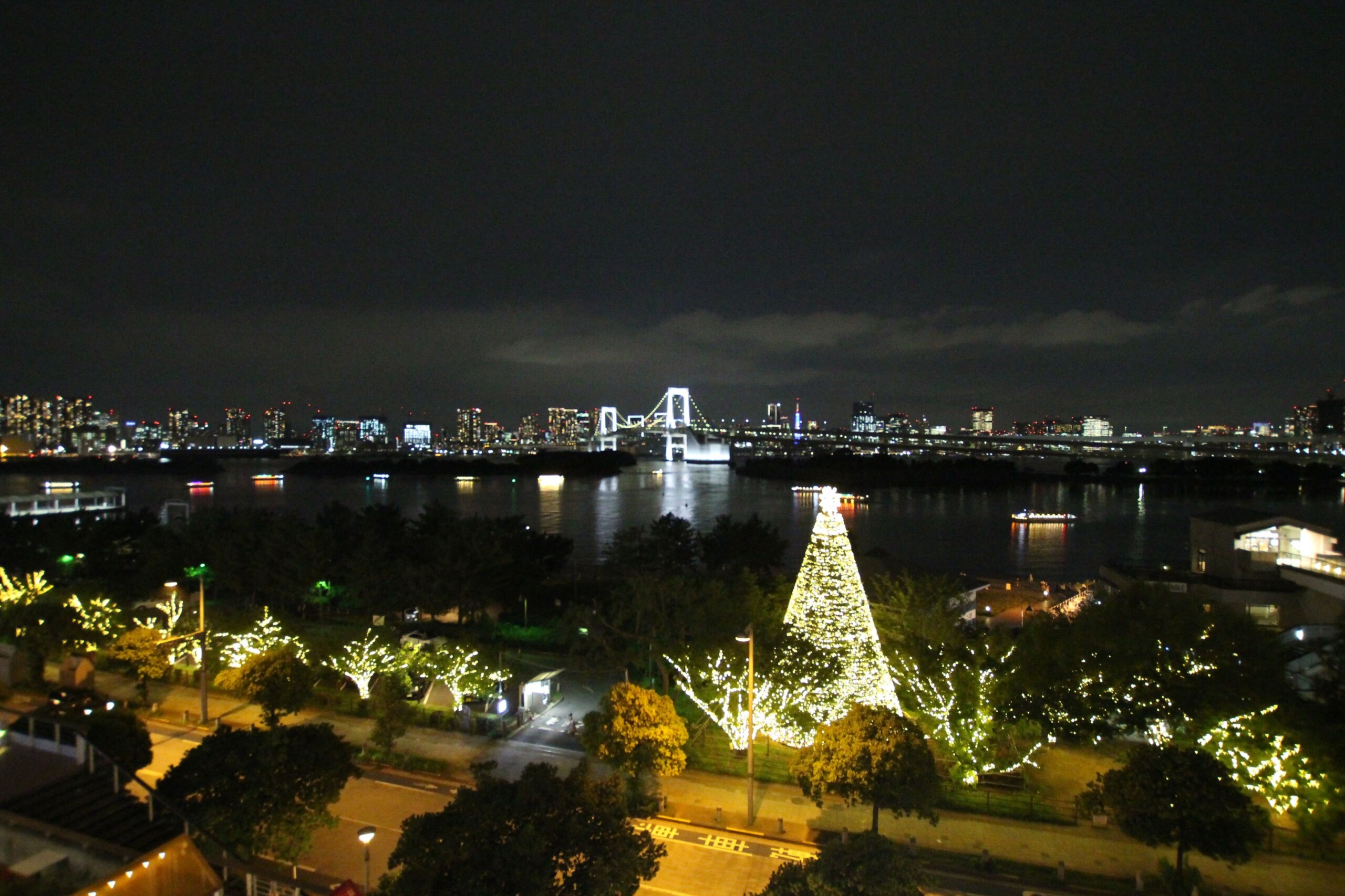 夏の新スポット「WOOD DESIGN PARK ODAIBA TOKYO」で人気の室内BBQ体験