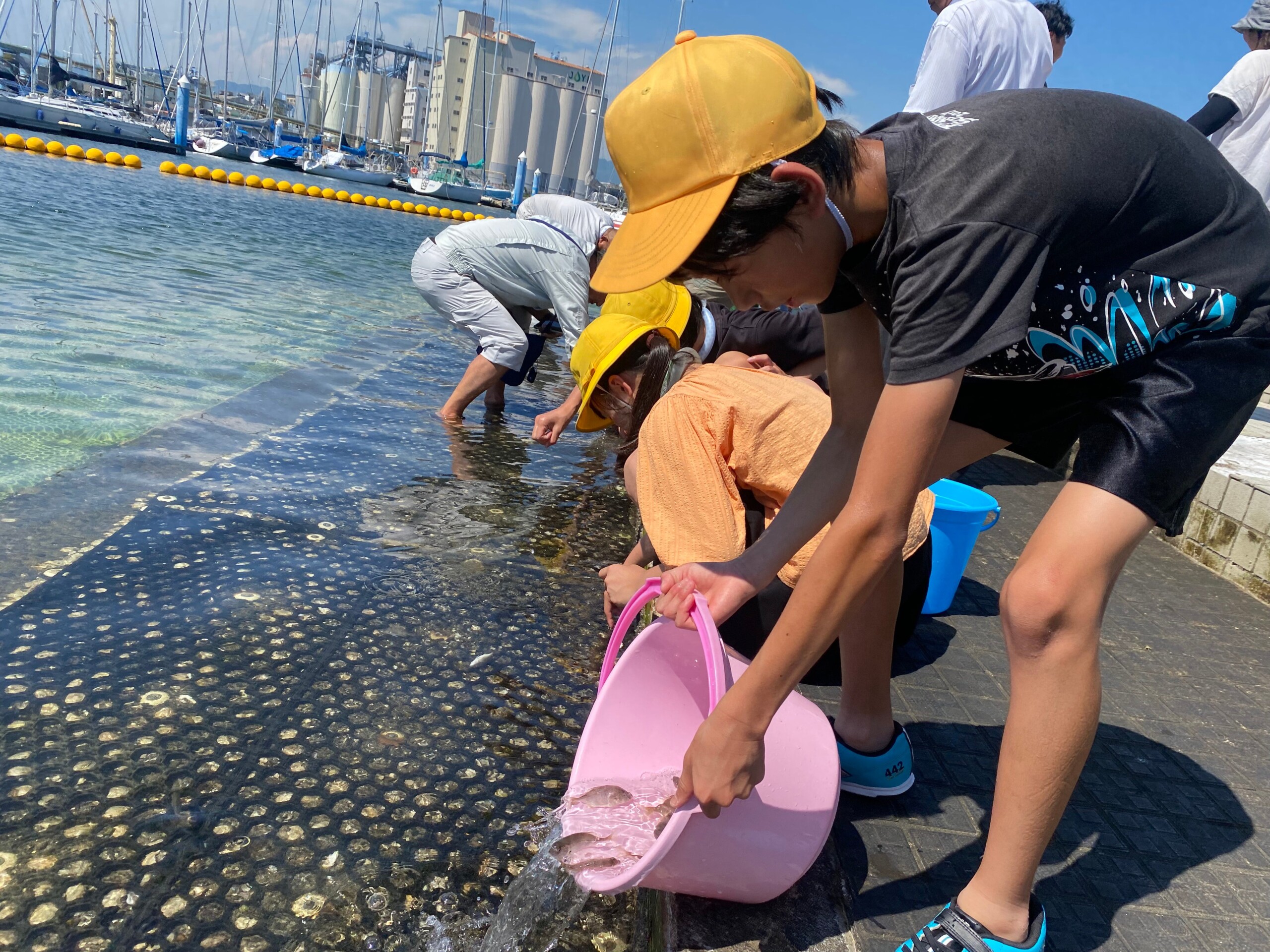 清水港のマリンパークにて真鯛の稚魚2,000匹放流体験！！