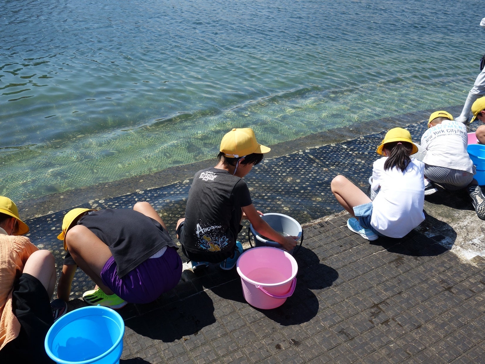 清水港のマリンパークにて真鯛の稚魚2,000匹放流体験！！