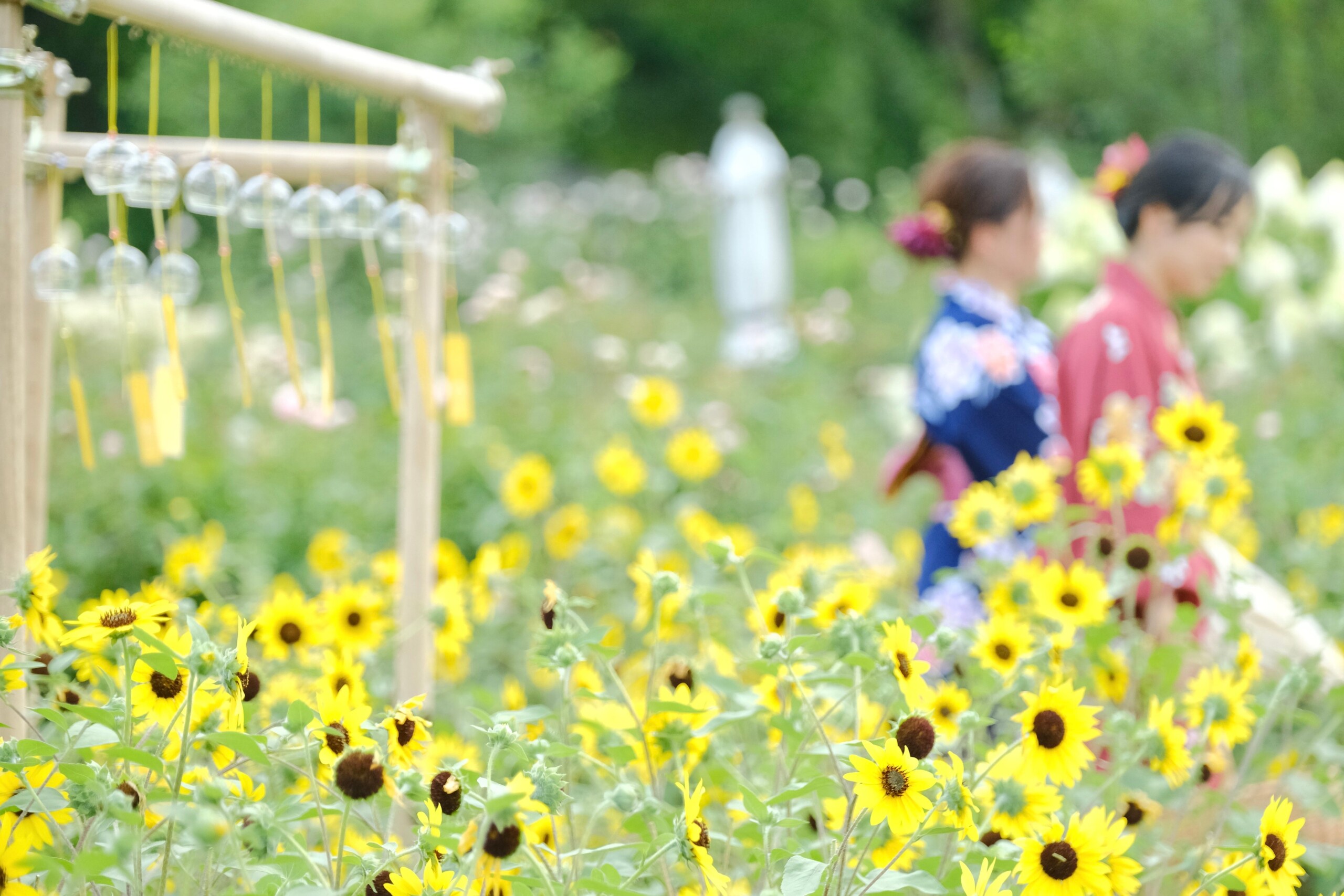 【いばらきフラワーパーク】8/10-11、里山の夕涼み「フラワーナイトマーケット」を初開催！