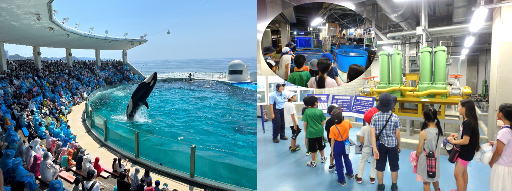 【申し込み締切間近】８/23出発　夜の水族館探険ツアー ～ 裏側潜入コース ～