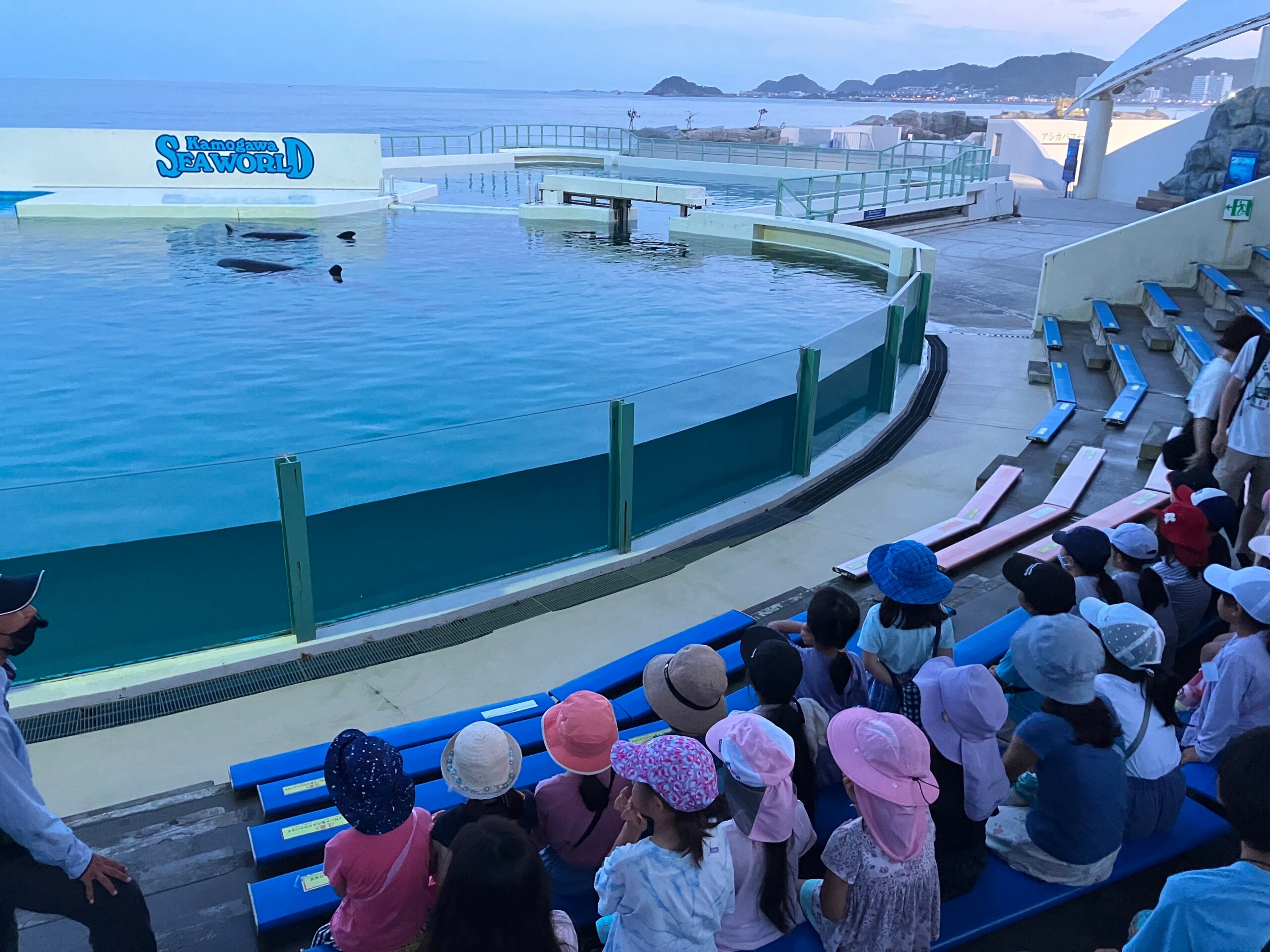 【申し込み締切間近】８/23出発　夜の水族館探険ツアー ～ 裏側潜入コース ～