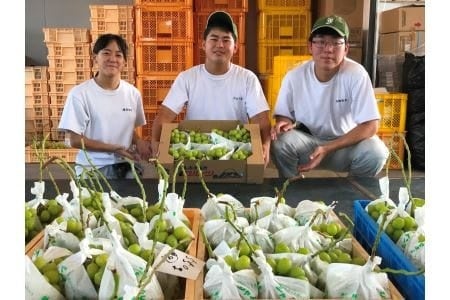 「ふるなび」で、山梨県笛吹市が年々減少していくフルーツ農家と地域産業を守ることを目的としたクラウドファ...