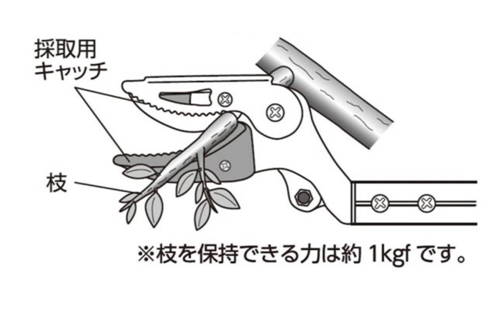 電動だから最大15㎜の枝もラクラク切断。重心が手元にあり高所の枝も狙いやすい。4段階の伸縮でどんな樹木に...