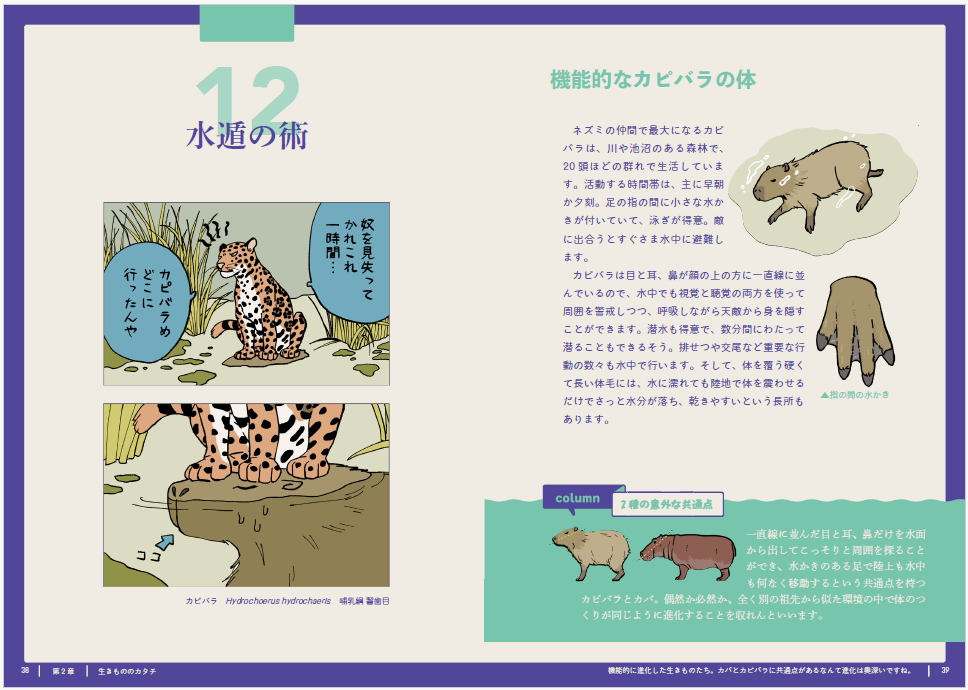 神戸の水族館 アトアの飼育員が作った本『2コマで読める 飼育員が教えたい 生きものウラ話』が新発売！