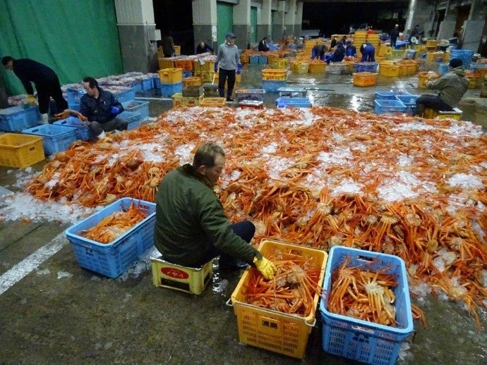 関西で唯一の水揚げ！香住漁港でブランド蟹「香住蟹」いよいよ9月1日漁解禁！松葉蟹より、ひと足先に楽しめる...