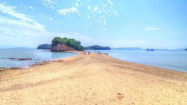 ジャンボフェリー｜300年の伝統、中山農村歌舞伎を鑑賞！初秋の小豆島　芸術とグルメめぐり　小豆島観光ツア...