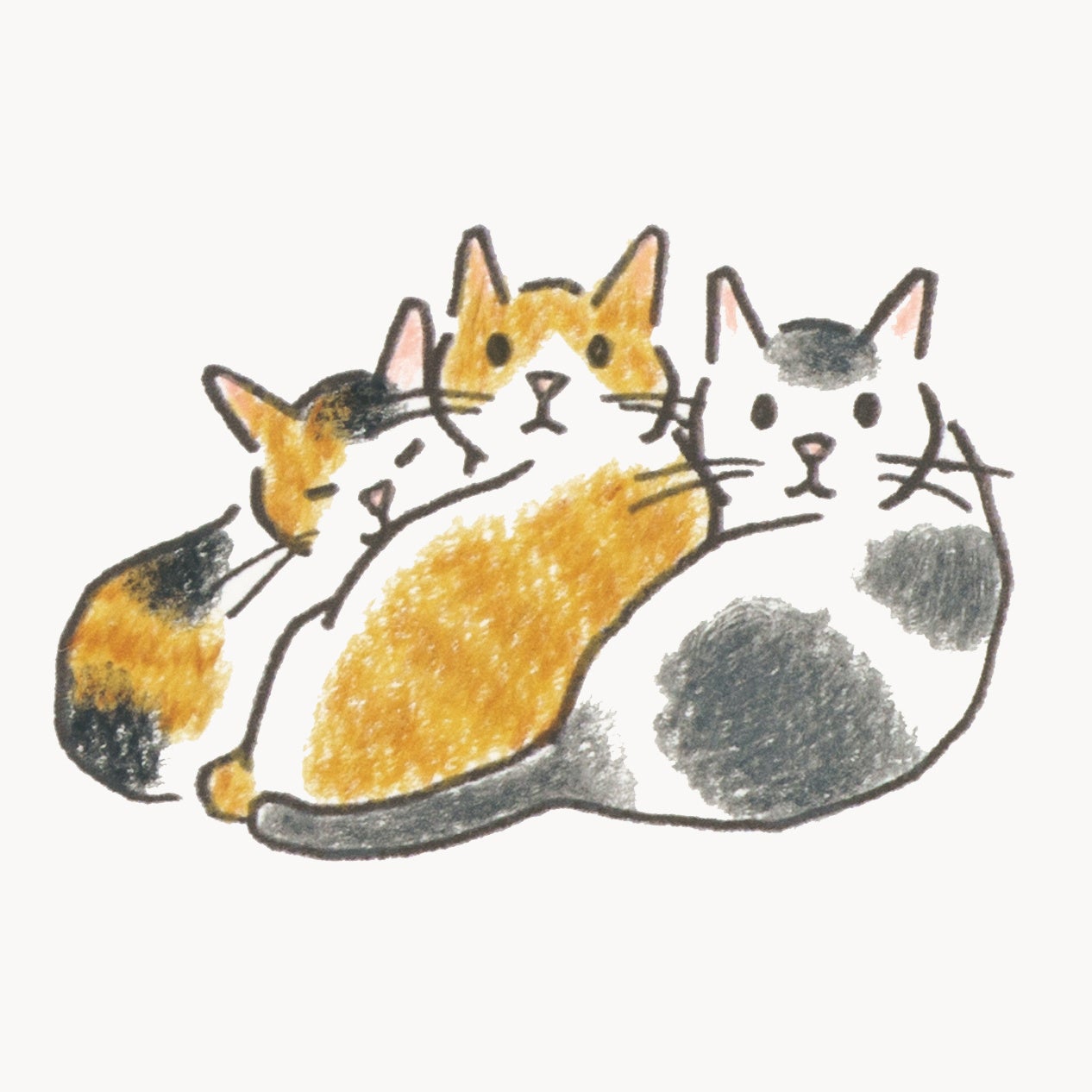 #世界猫の日 「気づけば猫ばかり描いていた」人気イラストレーター小泉さよさんがとびきりかわいい猫の描き方...