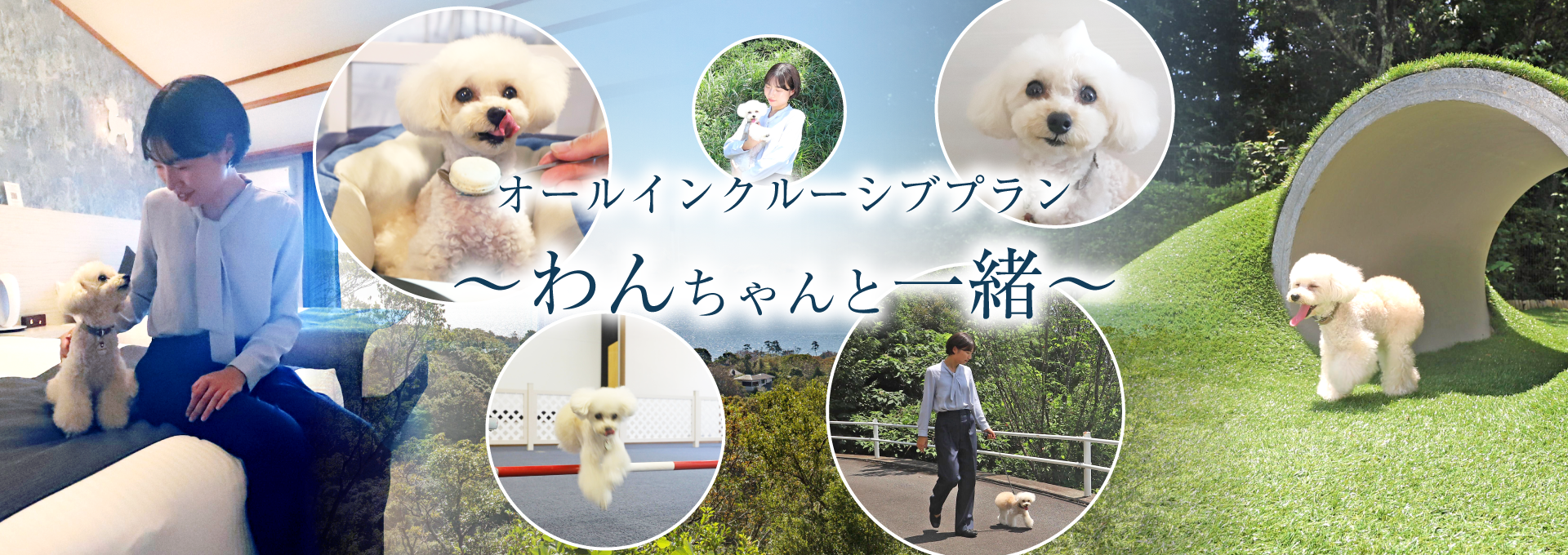 【Wan's Resort 城ヶ崎海岸】愛犬と泊まれるリゾートホテルが24年10月1日よりグループ初となるオールインクル...